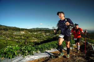 BIB: 
                            <button type="button" onclick="openModal(19121647)" class="btn btn-primary btn-sm float-right btn-popup" data-toggle="modal" data-target=".modal-high-quality">
                        <i class="fas fa-shopping-cart"></i> Add to Cart
                    </button>
                                            <button type="button" onclick="isThisMe(19121647, true)" class="btn btn-success btn-sm float-right btn-popup btn-isme hidden" data-toggle="tooltip" data-placement="bottom" title="นี่คือรูปของคุณใช่ไหม คลิกที่นี่เพื่อเอาเข้าอัลบั้ม">
                        <i class="fas fa-plus"></i> Add to album
                    </button>
                    <button type="button" onclick="isThisMe(19121647, false)" class="btn btn-warning btn-sm float-right btn-popup btn-isnotme hidden">
                        <i class="fas fa-ban"></i> Remove from album
                    </button>